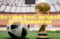 世界杯下注金额-世界杯，激情与理性的碰撞——下注金额的背后故事
