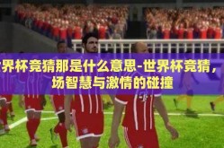 世界杯竞猜那是什么意思-世界杯竞猜，一场智慧与激情的碰撞
