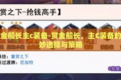 赏金船长主c装备-赏金船长，主C装备的精妙选择与策略