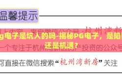 pg电子是坑人的吗-揭秘PG电子，是陷阱还是机遇？
