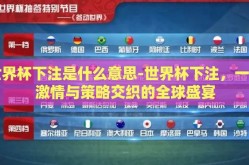 世界杯下注是什么意思-世界杯下注，一场激情与策略交织的全球盛宴