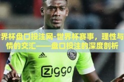 世界杯盘口投注网-世界杯赛事，理性与激情的交汇——盘口投注的深度剖析
