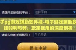 电子pg游戏辅助软件挂-电子游戏辅助软件挂的利与弊，玩家视角的深度剖析