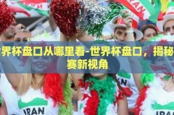 世界杯盘口从哪里看-世界杯盘口，揭秘观赛新视角