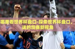 在哪里看世界杯盘口-探索世界杯盘口，球迷的观赛新视角