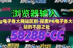 pg电子各大网站区别-探索PG电子各大网站的不同之处