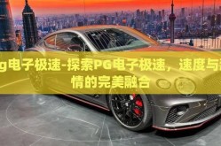 pg电子极速-探索PG电子极速，速度与激情的完美融合