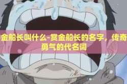赏金船长叫什么-赏金船长的名字，传奇与勇气的代名词
