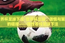 世界杯足球下注-世界杯足球，激情与策略的碰撞——理性看待足球下注
