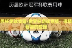 世界杯足球竞猜-世界杯足球竞猜，激情与智慧的碰撞
