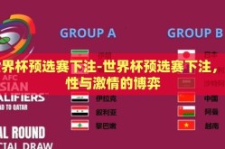 世界杯预选赛下注-世界杯预选赛下注，理性与激情的博弈