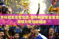 世界杯冠军亚军竞猜-世界杯冠军亚军竞猜，激情与智慧的碰撞
