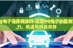 pg电子容易赚钱吗-探索PG电子的盈利潜力，机遇与挑战并存