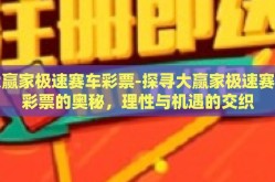 大赢家极速赛车彩票-探寻大赢家极速赛车彩票的奥秘，理性与机遇的交织