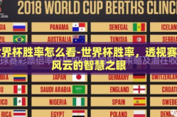 世界杯胜率怎么看-世界杯胜率，透视赛场风云的智慧之眼