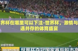 世界杯在哪里可以下注-世界杯，激情与机遇并存的体育盛宴