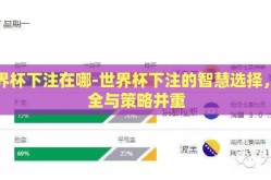 世界杯下注在哪-世界杯下注的智慧选择，安全与策略并重