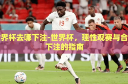 世界杯去哪下注-世界杯，理性观赛与合法下注的指南