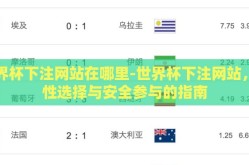 世界杯下注网站在哪里-世界杯下注网站，理性选择与安全参与的指南