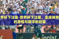 世界杯下注量-世界杯下注量，全球体育迷的激情与数字的较量