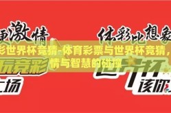 体彩世界杯竞猜-体育彩票与世界杯竞猜，激情与智慧的碰撞