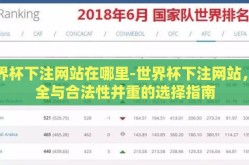 世界杯下注网站在哪里-世界杯下注网站，安全与合法性并重的选择指南