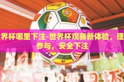 世界杯哪里下注-世界杯观赛新体验，理性参与，安全下注