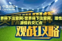 世界杯下注官网-世界杯下注官网，理性与激情的交汇点