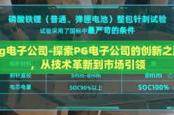 pg电子公司-探索PG电子公司的创新之路，从技术革新到市场引领