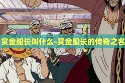 赏金船长叫什么-赏金船长的传奇之名
