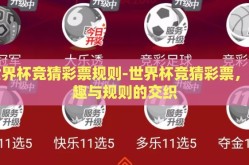 世界杯竞猜彩票规则-世界杯竞猜彩票，乐趣与规则的交织