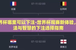 世界杯哪里可以下注-世界杯观赛新体验，合法与智慧的下注选择指南