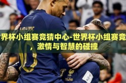 世界杯小组赛竞猜中心-世界杯小组赛竞猜，激情与智慧的碰撞