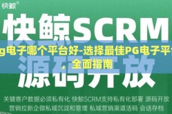 pg电子哪个平台好-选择最佳PG电子平台，全面指南