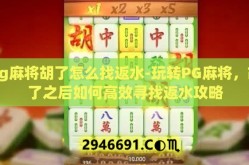 pg麻将胡了怎么找返水-玩转PG麻将，胡了之后如何高效寻找返水攻略