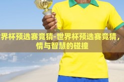世界杯预选赛竞猜-世界杯预选赛竞猜，激情与智慧的碰撞