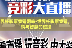 世界杯彩票竞猜网站-世界杯彩票竞猜，激情与智慧的碰撞
