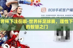 世界杯下注在哪-世界杯足球赛，理性下注的智慧之门