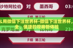 怎么用微信下注世界杯-微信下注世界杯，安全、便捷的观赛新体验
