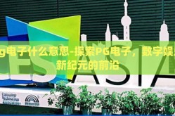 pg电子什么意思-探索PG电子，数字娱乐新纪元的前沿