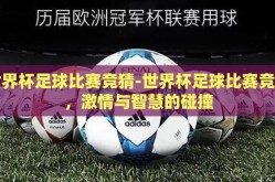 世界杯足球比赛竞猜-世界杯足球比赛竞猜，激情与智慧的碰撞