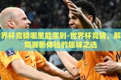 世界杯竞猜哪里能买到-世界杯竞猜，解锁观赛新体验的趣味之选