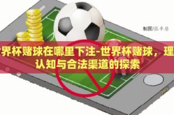 世界杯赌球在哪里下注-世界杯赌球，理性认知与合法渠道的探索