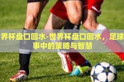 世界杯盘口回水-世界杯盘口回水，足球赛事中的策略与智慧