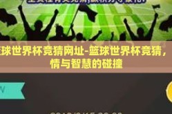 篮球世界杯竞猜网址-篮球世界杯竞猜，激情与智慧的碰撞
