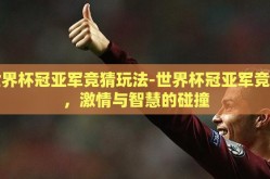世界杯冠亚军竞猜玩法-世界杯冠亚军竞猜，激情与智慧的碰撞