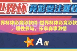 世界杯体彩竞彩软件-世界杯体彩竞彩软件，理性参与，乐享赛事激情