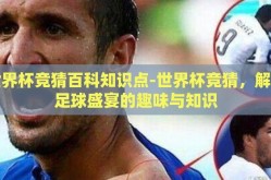 世界杯竞猜百科知识点-世界杯竞猜，解锁足球盛宴的趣味与知识