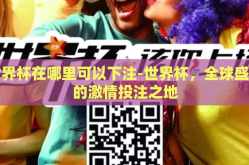 世界杯在哪里可以下注-世界杯，全球盛宴的激情投注之地