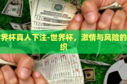 世界杯真人下注-世界杯，激情与风险的交织